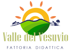 valledelvesuvio_logo_tr_high-min